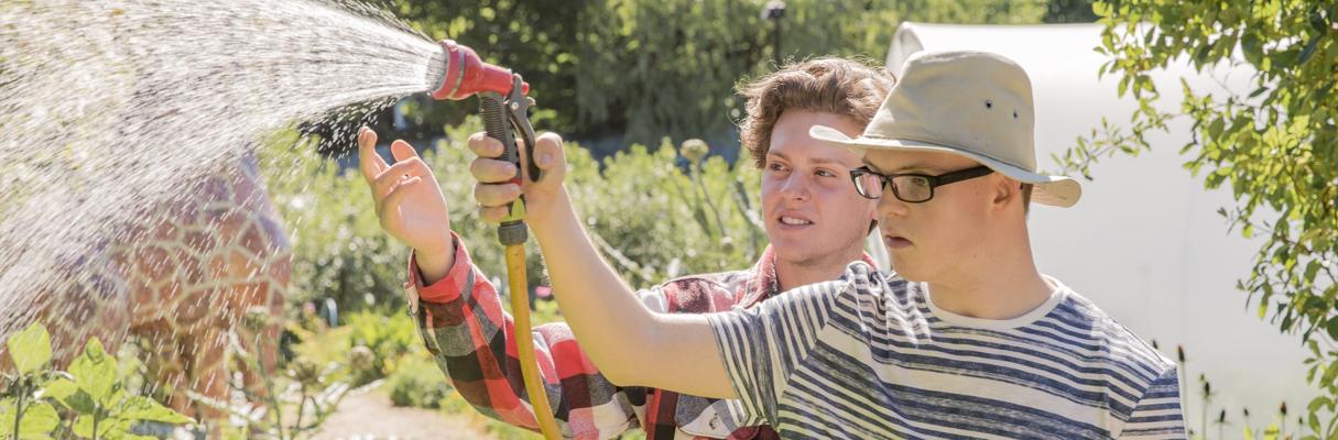 Personlig assistans för utförare